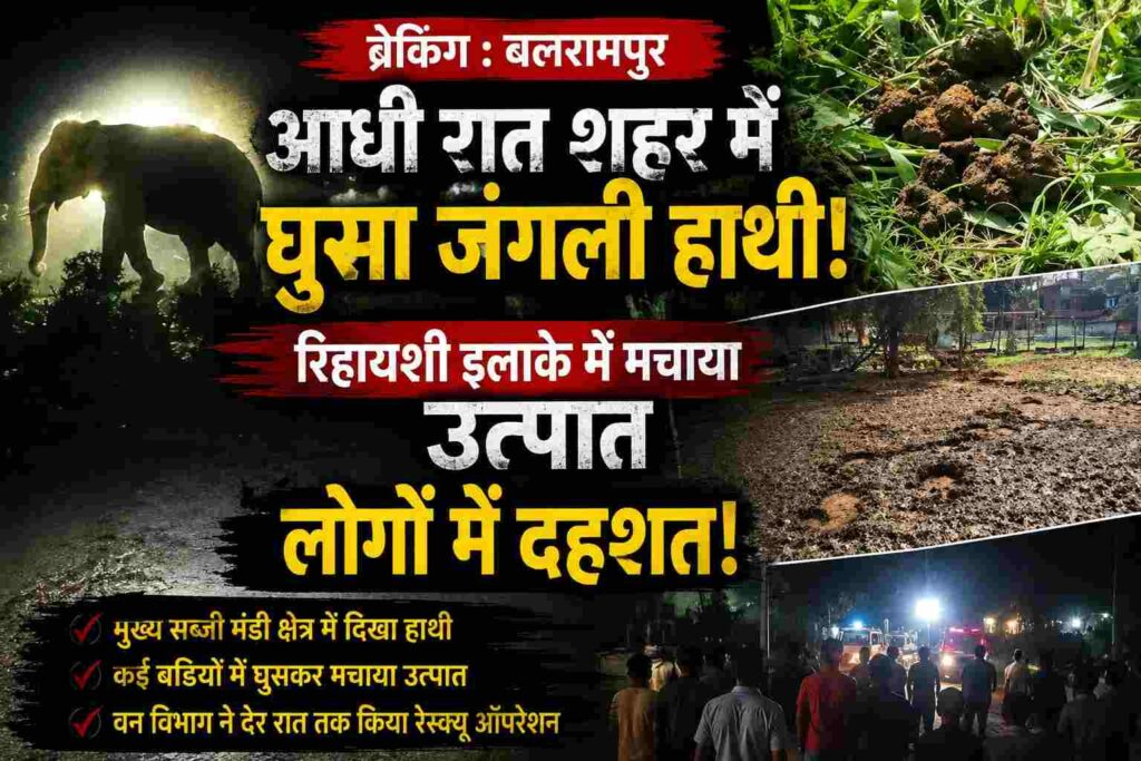 वाड्रफनगर मे आधी रात… शहर में किसकी हुई दस्तक..? नींद में डूबे लोगो मे अचानक मचा चीख-पुकार… रिहायशी इलाकों में घुसकर मचाया उत्पात।