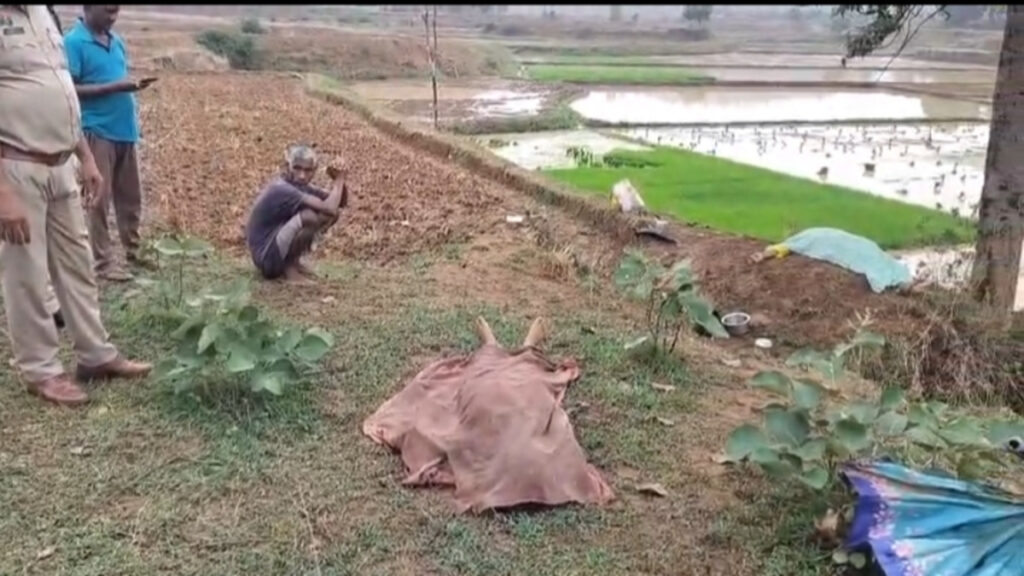 CG NEWS : खेत में काम के दौरान बदला मौसम, आकाशीय बिजली गिरने से मां-बेटी की मौत