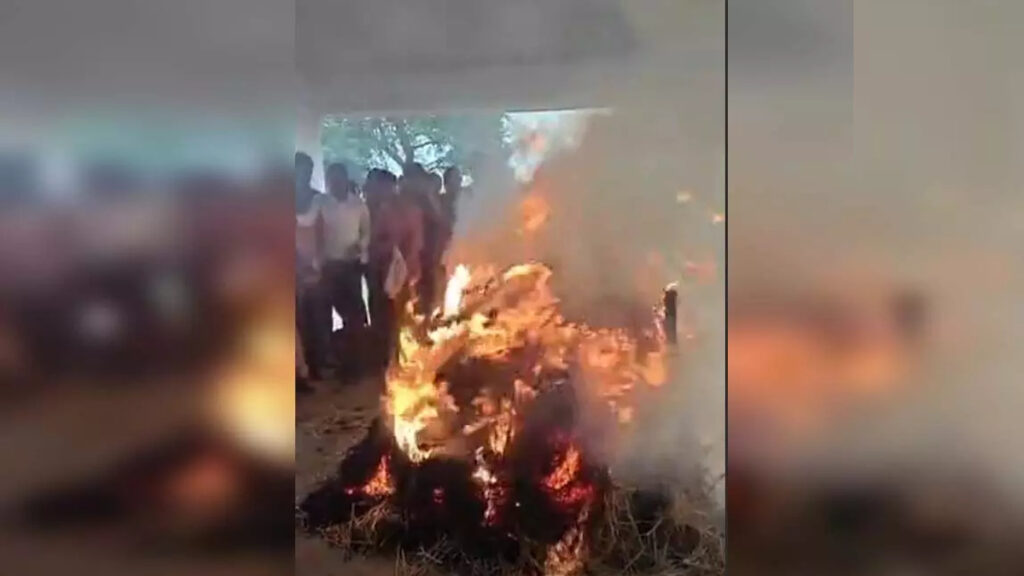 CG News : लोककला जगत की महान हस्ती तीजन बाई पंचतत्व में विलीन, अंतिम दर्शन के लिए उमड़ा जनसैलाब