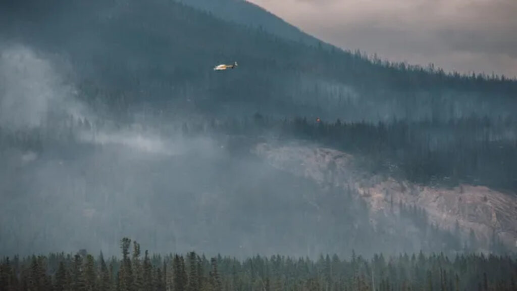 America Wildfire Flood Crisis : आग, धुआं और बाढ़ से जूझ रहे अमेरिका के 15 राज्य, ट्रंप ने कनाडा को टैरिफ की दी धमकी
