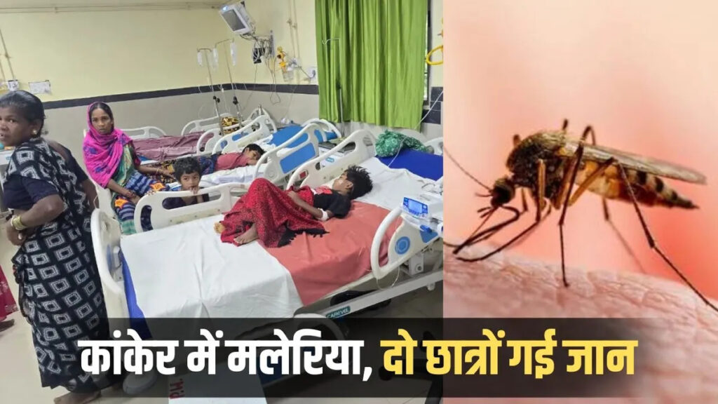 CG News : मलेरिया से कांकेर में हड़कंप’ 48 घंटे में 2 छात्रों की मौत, 11 छात्र संक्रमित, प्रशासन ने जारी किया अलर्ट