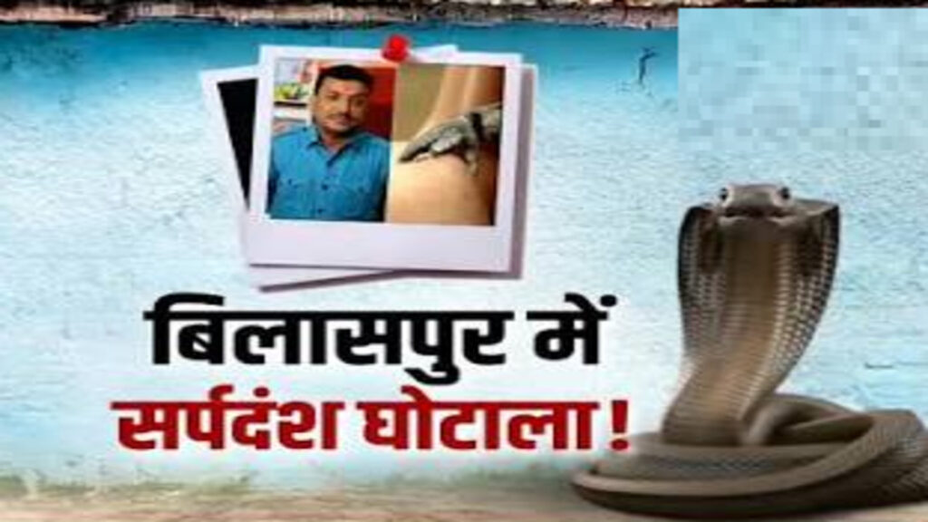 स्नेक बाइट मुआवजा घोटाला : फर्जी सर्पदंश दिखाकर करोड़ों का मुआवजा, बिलासपुर घोटाले में अब तक 19 गिरफ्तार
