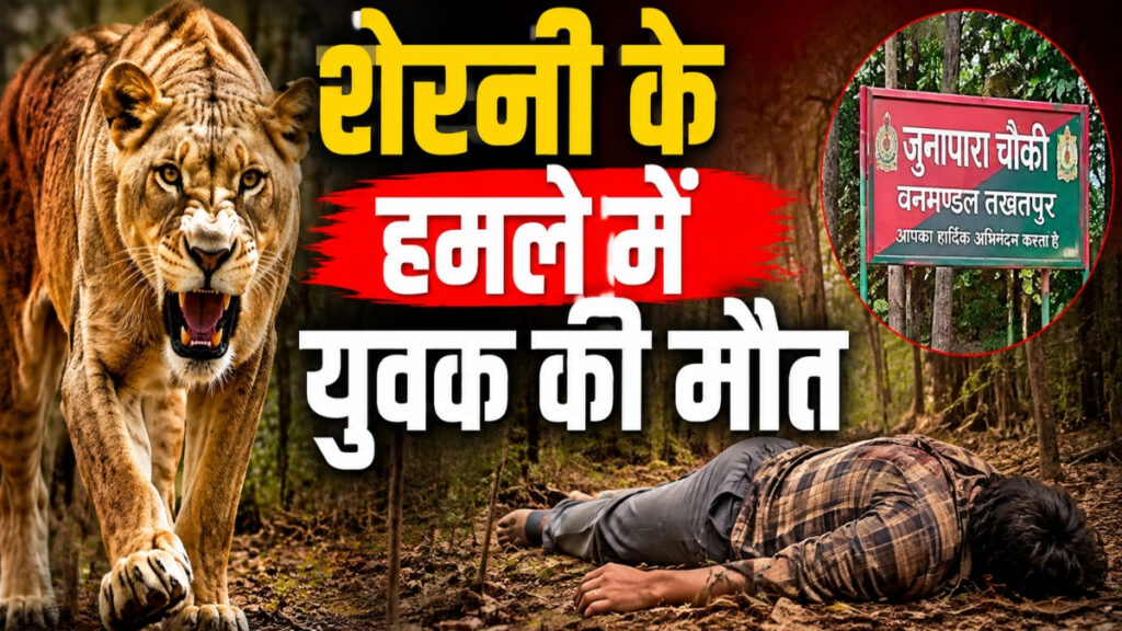 CG BREAKING : शावक के साथ घूम रही शेरनी ने युवक को बनाया निशाना, मौत के बाद इलाके में दहशत