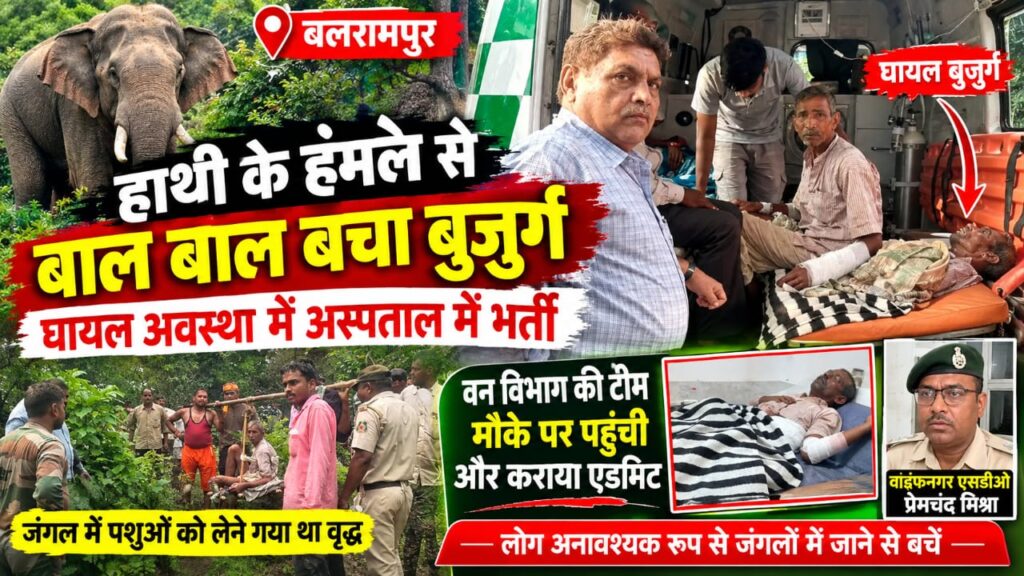 बलरामपुर में जंगली हाथी के हमले में बुजुर्ग घायल, बाल-बाल बची जान, पशुओं को लेने साथी के साथ जंगल गया था वृद्ध, अचानक हाथी की चपेट में आया; वन विभाग ने अस्पताल पहुंचाया