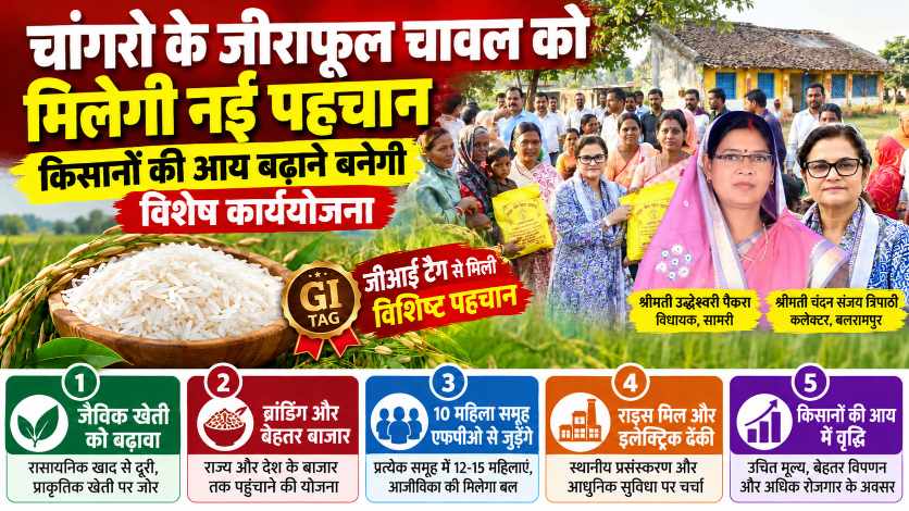 चांगरो के जीराफूल चावल को मिलेगी नई पहचान, किसानों की आय बढ़ाने बनेगी विशेष कार्ययोजना